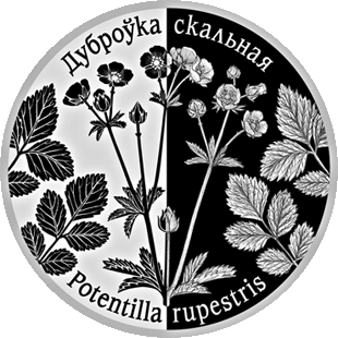 Лапчатка скальная