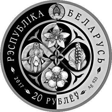 Лапчатка скальная