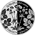 Лапчатка скальная