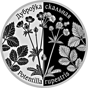 Лапчатка скальная