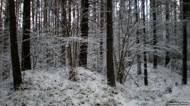 Паводле беларускіх паданьняў, скарбы былі схаваныя ў курганах швэдзкімі або францускімі салдатамі. Фота аўтара
